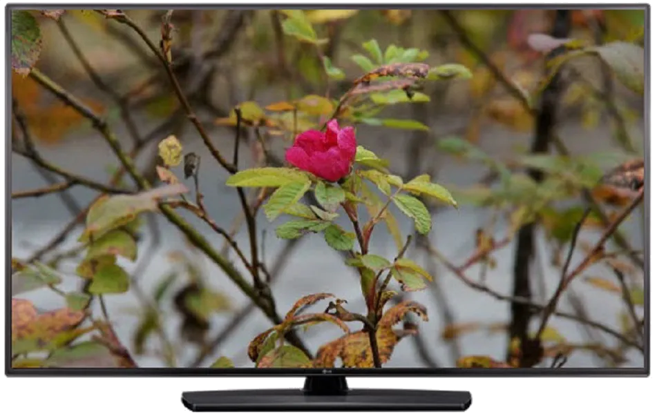 Ремонт LG 55LV541